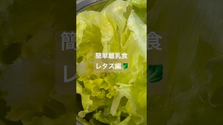 簡単離乳食レタス編🥬