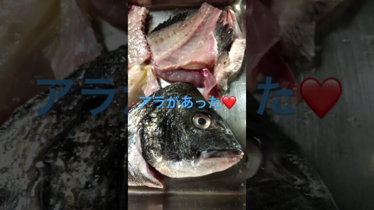 黒鯛のアラ