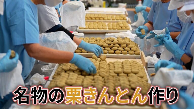 秋の味覚「栗きんとん」作り始まる…岐阜・中津川の老舗和菓子店「川上屋本店」