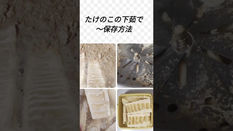 たけのこの下茹で〜保存方法　たけのことふきの煮物の作り方は関連動画で。