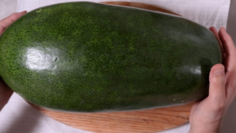 このひと手間で冬瓜が化ける　冬瓜と鶏肉の煮物