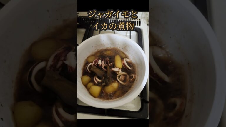 【煮物】ジャガイモと茄子とイカ　#food #shrots #はくちゃん