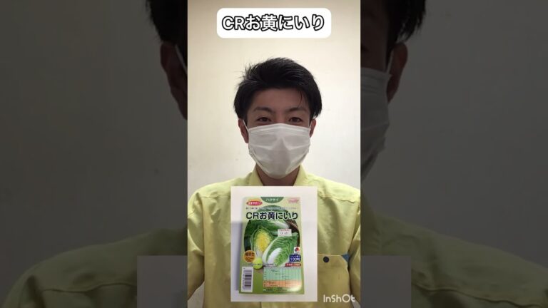 白菜の種 おすすめ3選！【農業屋】 #shorts