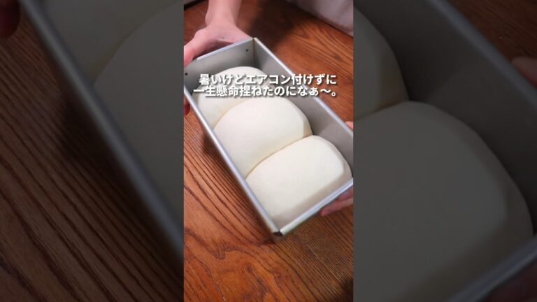 【失敗】パン職人が作るおうち食パン。 #パン作り #パン #bread #shorts