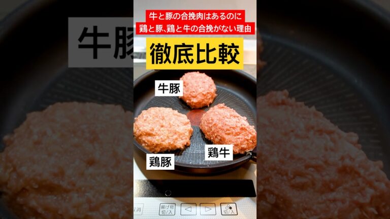 【徹底比較】牛と豚の合挽肉はあるのに鶏と豚、鶏と牛の合挽肉はないの？3種類のハンバーグを作って検証したら凄い事が判明した！#shorts