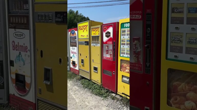 相模原市 懐かしのレトロ自販機コーナー🍔🍜へ行ってみました。天ぷら🍤そばを👍