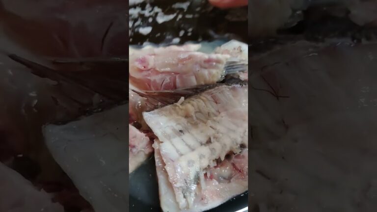 真鯛のアラを使って鯛めし #お家で築地メシ