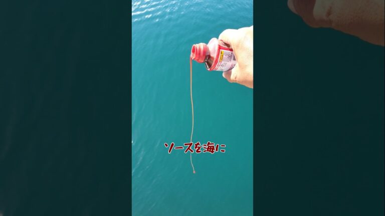 濃厚ソースを海に流すと大変なことになった！