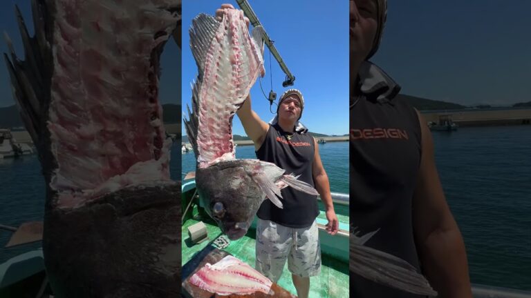 船上漁師めし！巨大魚の氷上姿作り！