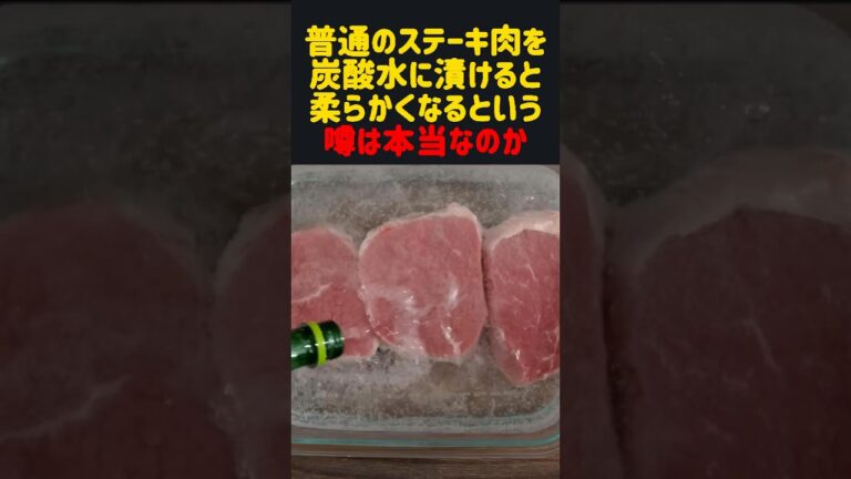 普通のステーキ肉を炭酸水に漬けると高級ステーキになるのか　#雑学 #飯テロ