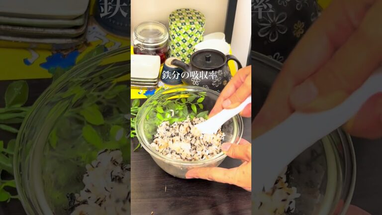 手作り無添加　梅ひじきおにぎり