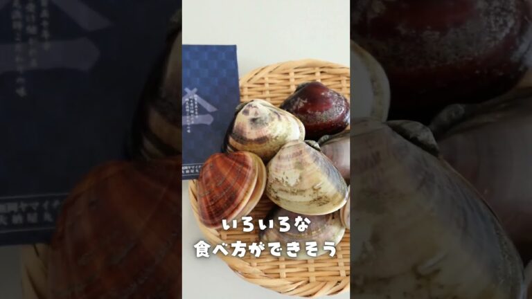 【ふるさと納税】とにかく大粒！驚きの九十九里地はまぐり🐚 #ふるさとチョイス #ふるさと納税 #はまぐり
