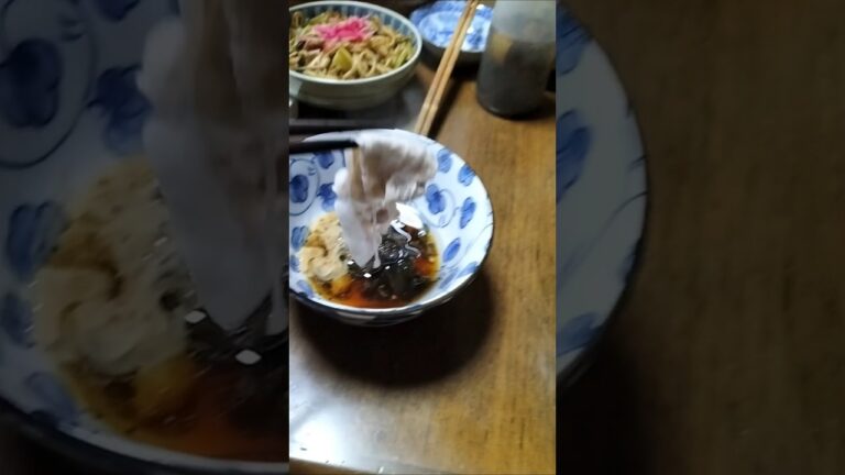 鶏肉玉ねぎワイン煮込み豚しゃぶしゃぶをリンゴ酢漬けミントとドレッシング混ぜタレで食べる乱暴な#晩ごはん #お料理動画 #貧乏生活 #独身中年 。