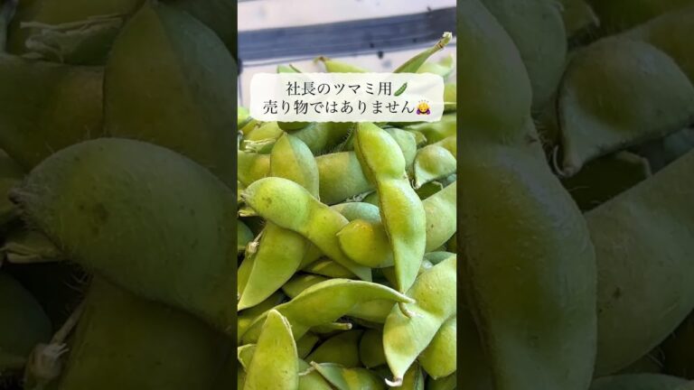 黒崎茶豆、新潟県の枝豆。#shorts