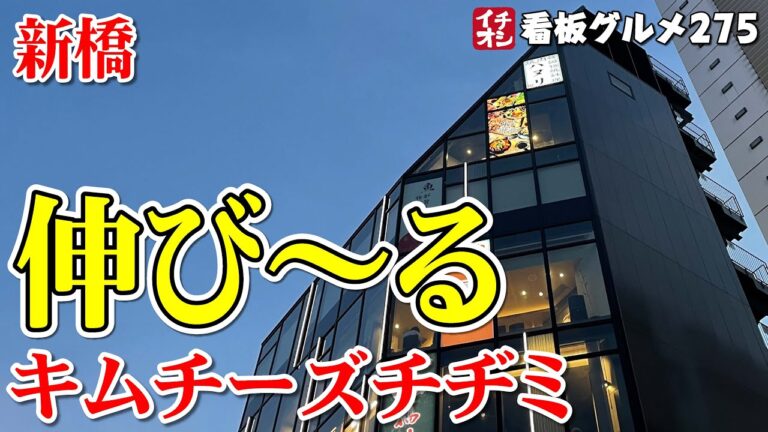 【東京グルメ】コスパ最高のコース料理 サムギョプサル＋４品 韓国料理 ハヌリ新橋店 イチオシ看板グルメ２７５（飲食店応援９１４本目動画）