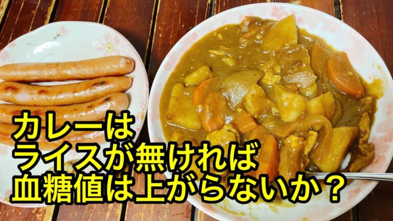 【糖質制限食 血糖値実験室】カレーはライスが無ければ血糖値は上がらないか？