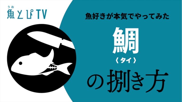 【鯛（タイ）のさばき方】腐ってもおいしい!?マダイの三枚おろし