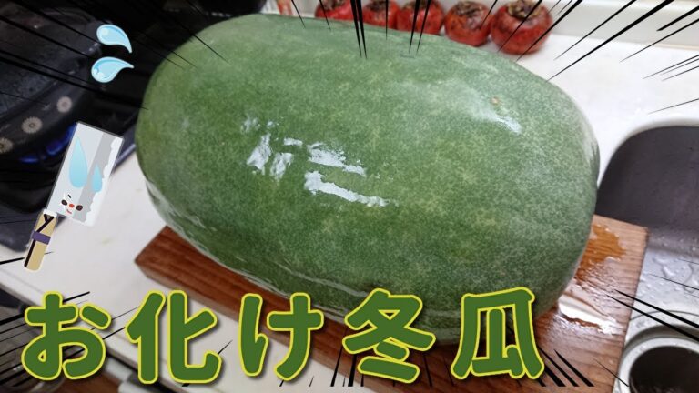 【料理】超巨大なお化け冬瓜を苦労の末冬瓜スープにすることができました