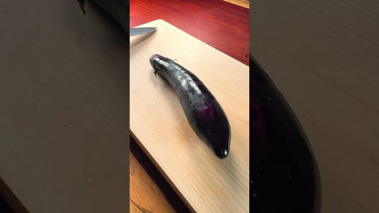 イカスミ・パエリア #shorts