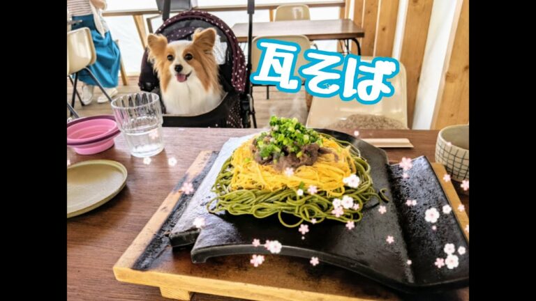 東海地区☆わんこ🐾犬と行ける　山口名物瓦そば　〈シガ食堂〉