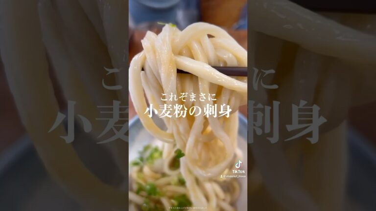 醤油うどんの最高峰！小麦粉の刺身を温玉乗せていただきます。【大喜多うどん】 #讃岐うどん #vivasnut