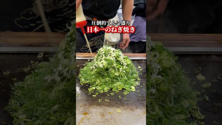 圧倒的てんこ盛り！日本一のねぎ焼き