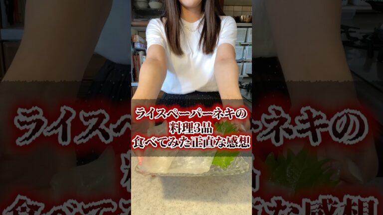 ライスペーパーネキの料理3品食べてみた正直な感想