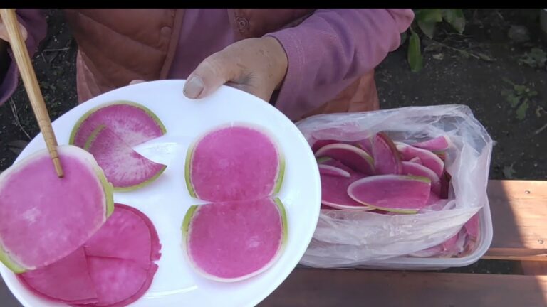 紅芯大根、青皮紅芯大根とも、原産地中国、ピンクとも紫色にも見え食卓を彩ります。