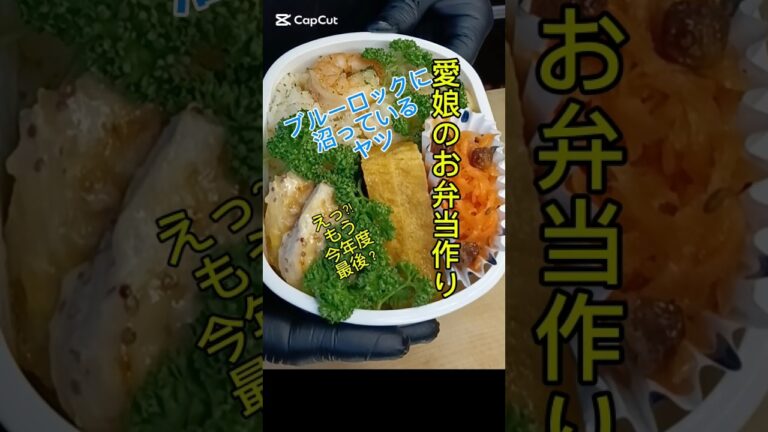 【パティシエパパ】お弁当作り　海老ピラフ　鶏むね肉　厚焼き玉子　キャロット