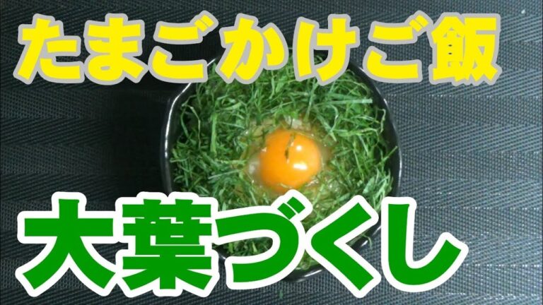 #47【大葉】たまごかけご飯を食べよう!!