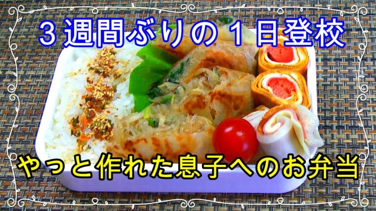 男子高校生のお弁当／マーボー春巻き・明太子入り卵焼き・くるくるちくわ／039