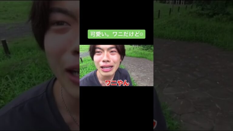 【コムドット】可愛いワニだけど🐊　【切り抜き】　#shorts