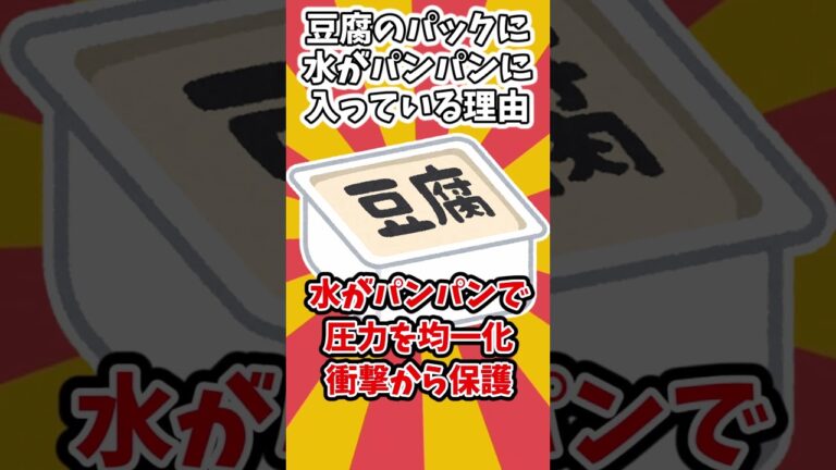 ゆっくり雑学】豆腐のパックに水がパンパンに入っている理由 #Shorts