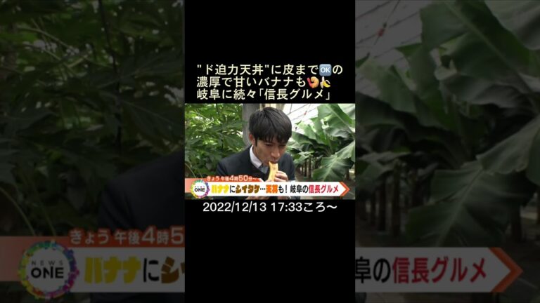 ⬆️本編はリンクから⬆️"ド迫力天丼"に皮まで🆗の濃厚で甘いバナナも🍤🍌岐阜に続々「信長グルメ」