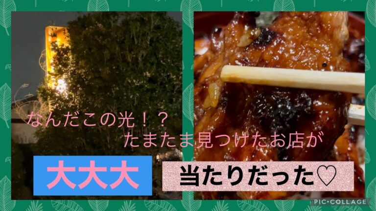 【足利市】和や💚たまたま見つけたお店が大当たり😊👏絶品焼き鳥丼は鳥がデカくて炭火感がすごい🤤💓ほたての釜飯はホタテが大ぶりで高級感満載😁❤️また行きたい再訪店🙂😄