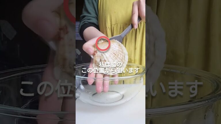 わたしのホタテのさばき方　#料理 #shorts