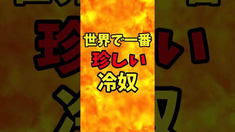 世界で一番珍しい冷奴　【バトルキッチン.170（2023.5.13)】