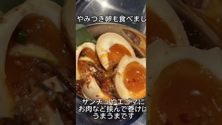 蒲田東口でk-pop画像見ながらサムギョプサル「韓国屋台 ペゴッパヨ 蒲田東口店」