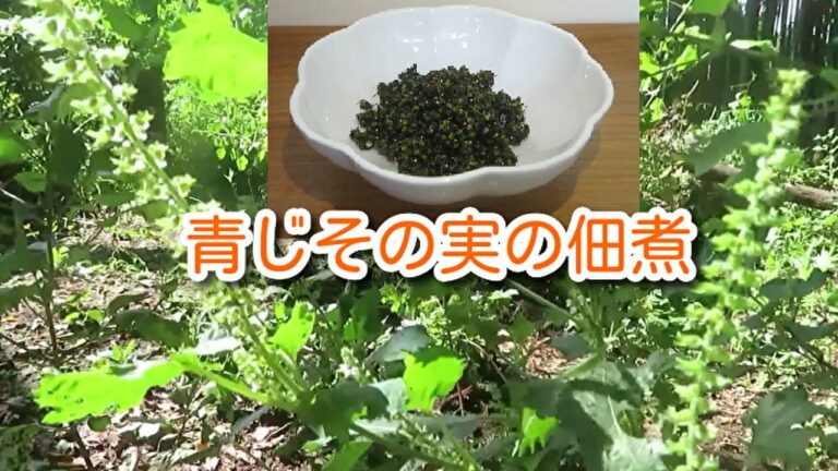 【ご飯がすすむ簡単レシピ】青じその実の佃煮