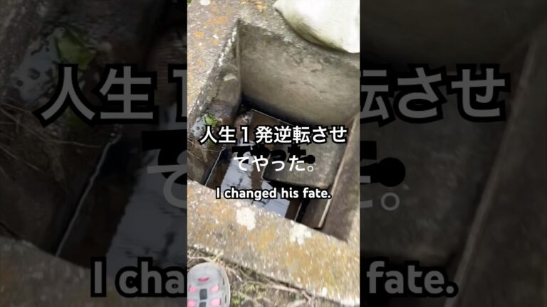 人生１発逆転させてやった。#魚 #魚料理#short  #バス釣り #fishing  #bassfishing