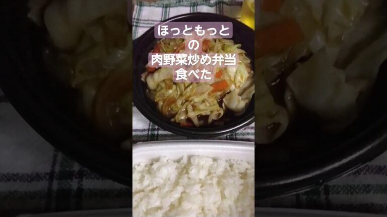 ほっともっとの肉野菜炒め弁当と内科の血液検査