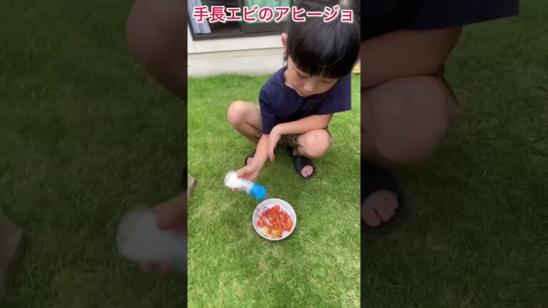 手長エビのアヒージョ