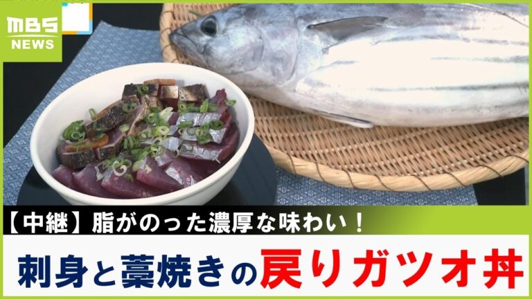 旬を迎えた「戻りガツオ」紀州の海で１本釣り！脂がたっぷりのって超絶品　和歌山・白浜町【川地洋平の最旬！丼マン】【現場から中継】（2025年8月29日）