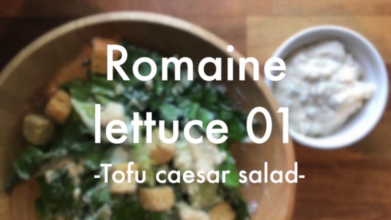 The Best Vegan Caesar Salad Ever! Absolutely delicious! :『お豆腐シーザーサラダ』　簡単でめちゃうまヴィーガンサラダ！