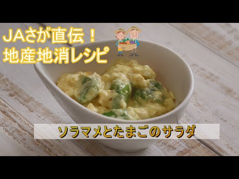 ソラマメとたまごのサラダ