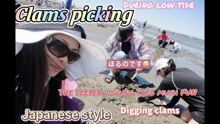 [潮干狩り三重]MEIKEN CLAMS PICKING/DIGGING🌊|楽しみがたくさん|Tatskie