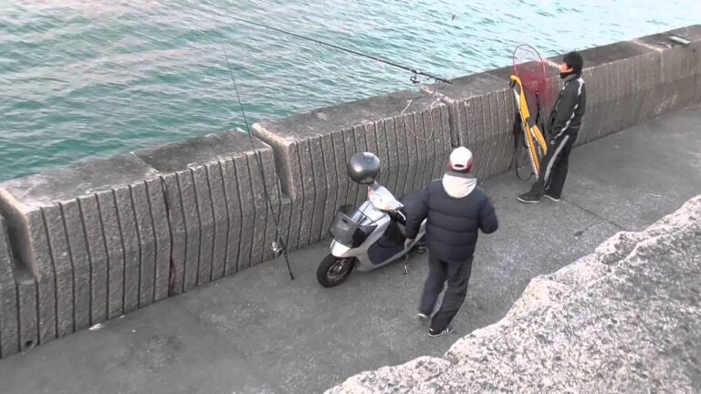 おーい、青物のエサにするカマス持ってけ