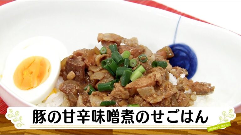 ナマなキッチン「豚の甘辛味噌煮のせごはん」