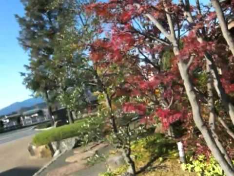 【お出かけ】栗きんとん