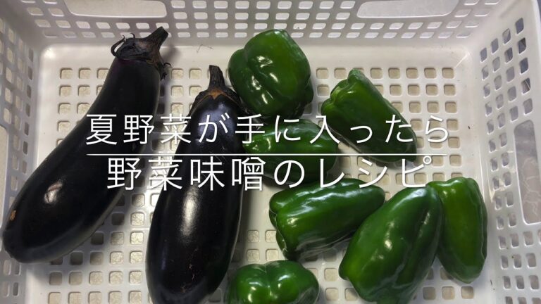 （ナス・ピーマン大量消費メニュー）野菜味噌の作り方！